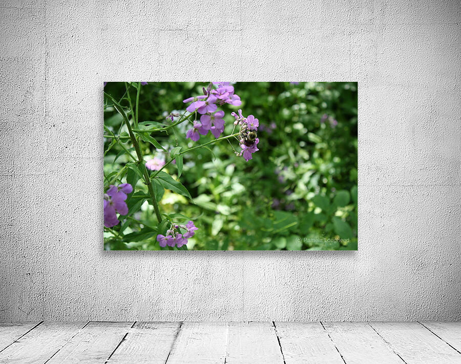 Sleeping Bee Wall Preview