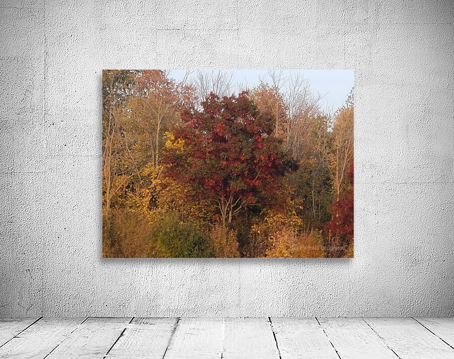 Autumn Maple tree  Wall Preview