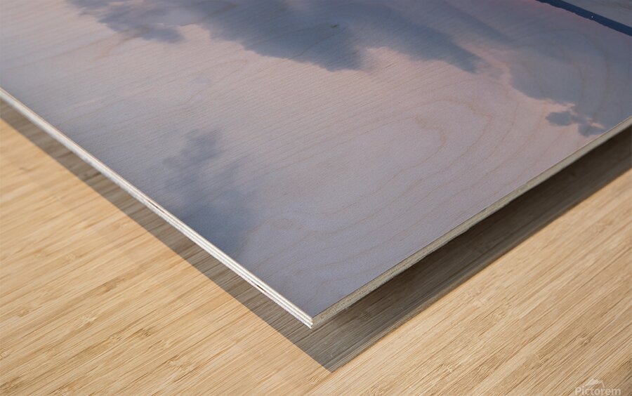 Sailors delight Wood print