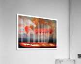 Tall Trees Acrylic Print