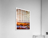 Marsh Acrylic Print