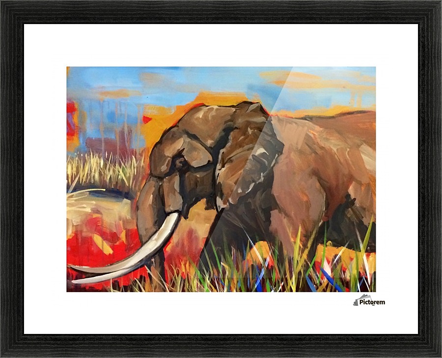Elephant Picture Frame print