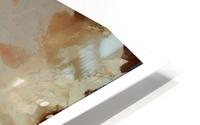 Marsh HD Metal print