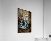 Autumns Liquid Symphony Acrylic Print