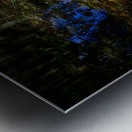 Songbirds and Sunshine: A Day of Birdwatching Bliss Metal print