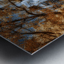 Tranquil Veil - Golden Falls Metal print