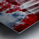 Scarlet Oasis Metal print