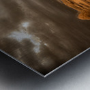 Golden Vineyard Metal print