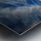 Mystical Arboretum Metal print