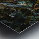 Banana Canopy Secrets Metal print