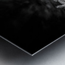 Twilight Shadows of a Palm Grove Metal print