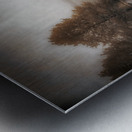 Moonlight Dreaming by the Lake  Metal print