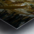 Banana Perspective Metal print