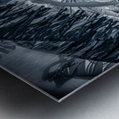 Tropical Banana Pathway Metal print