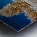 Dreamscape Reflections at Forest Lake Metal print