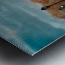 Reflections of Golden Calm Impression metal