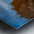 Infrared Serenity: The Red Bridge Metal print