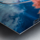 Archway to Surreal Horizons Metal print