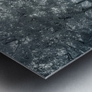 Canopy of Silent Shadows Metal print