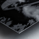 Skyward Monument in Monochrome Metal print