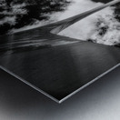 Vertical Symphony in Infrared Metal print