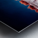 Fence Through a Surreal Horizon Metal print