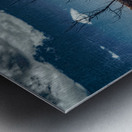 Stoic Silhouette in a Desolate Expanse Impression metal