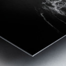 Monument of Serenity and Shadows Metal print