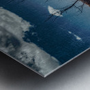 Stoic Silhouette in a Desolate Expanse Metal print