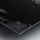 Fenceline Whisper in Monochrome Metal print