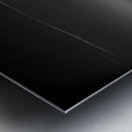 Ethereal encounters: a monochrome journey through Dawson NM Metal print