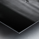 Solitude of Spine Metal print