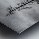 After the Fires Whisper Metal print