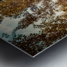 Serenade of Fall Foliage Metal print