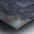 Ethereal Blue Amidst Monochrome Forest Metal print