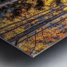 Warmth Amidst the Shadows Metal print