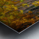 Elegy of Amber Leaves Metal print