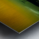 A Magical Evening on Saint Simons Island: Green Flash Metal print