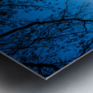 Spirit Triumphant: Louisiana Protection Metal print