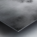 Serene Sylvan Lake: Alone on the Hill Metal print