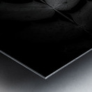 Spotlight on Natures Simplistic Beauty Metal print