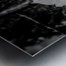 Natures Delicate Balance Metal print