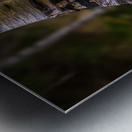 Exploring Sylvan Lake: Capturing the A Bent Aspen Metal print