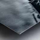 Rustic Relic - Blue Plate Metal print