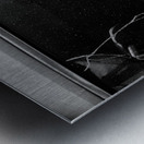 Rustic Relic - Cracked Vision Metal print