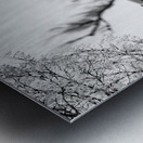 Rustic Relic - Missing Motor Metal print