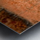 Rustic Relic - Kids Tonka Metal print