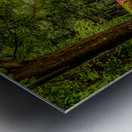 Garden Shack in Color Impression metal