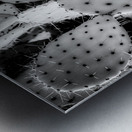 Textures of the Desert Metal print