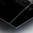 Boulder and Branch Under Silent Clouds Metal print